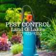 Pest Control Land O' Lakes